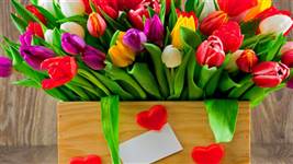 А. Ксения Романовна